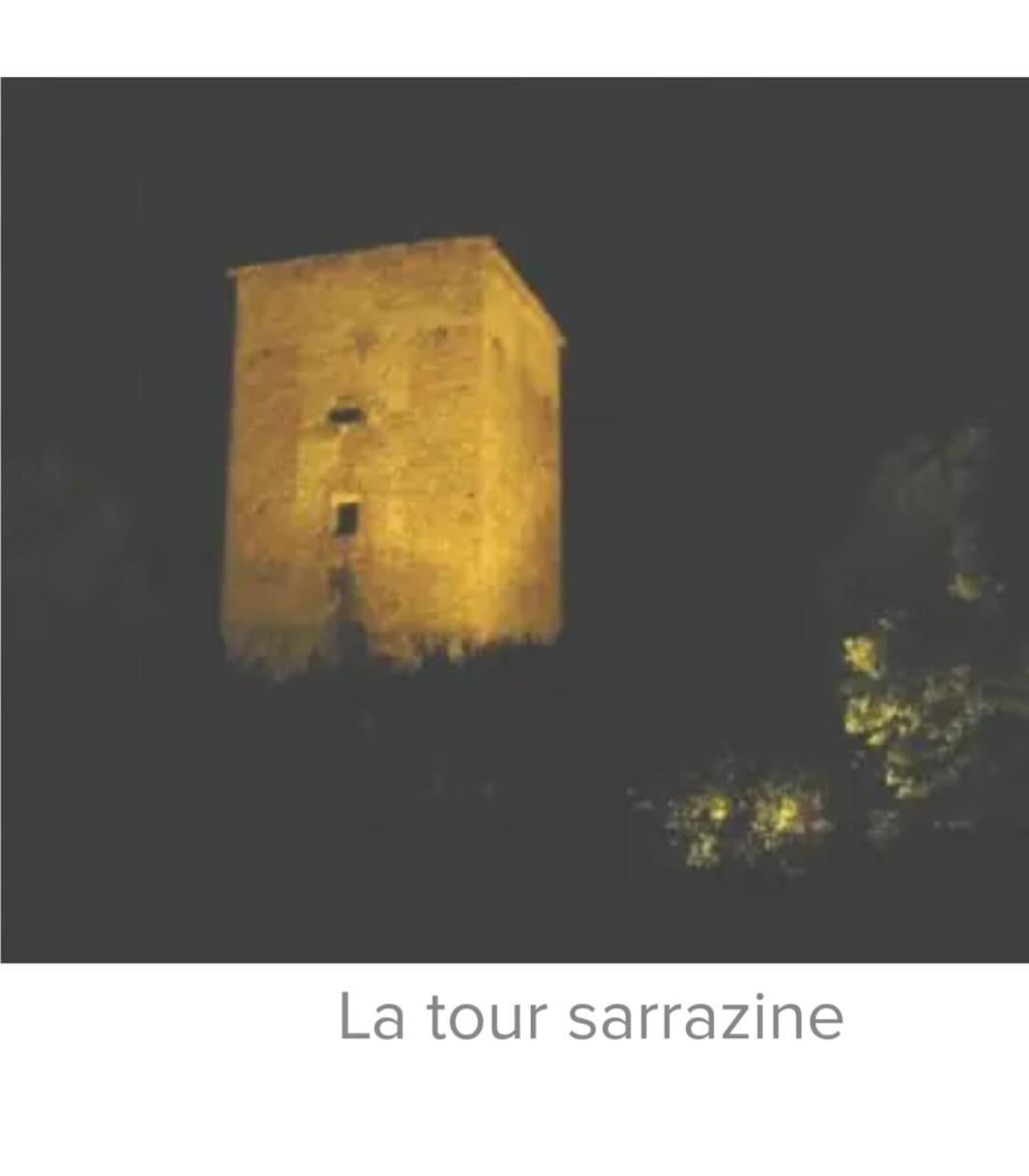 La Jolie Vue Et La Maison De La Tour- Cordes-Sur-Ciel Les Cabannes  Bagian luar foto